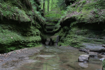 Captured Solitude - Turkey Run State Park - Rocky Hollow