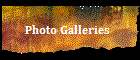 Captured Solitude Photogrpahy - Photo Galleries